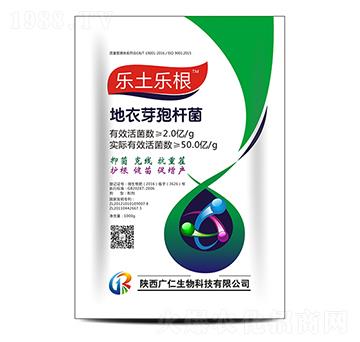 ����ѿ�ߗU��-��(l��)����(l��)��-�V������