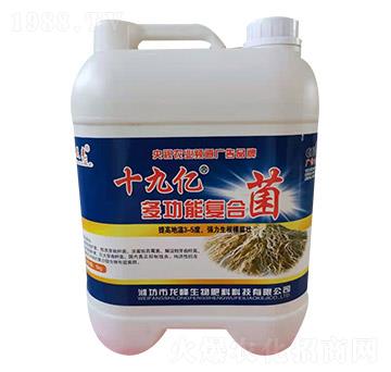 ʮ�Ń|�๦�܏�(f��)�Ͼ�-������