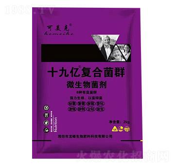 ΢�������-ʮ�Ń|��(f��)�Ͼ�Ⱥ-������