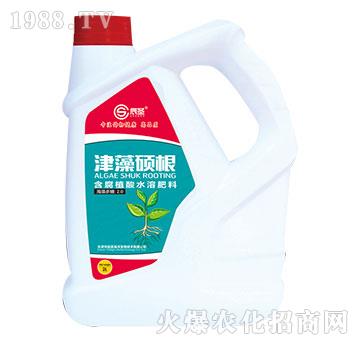 ����T��-��ʥ����