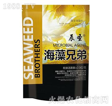 �����ֵ�-��ʥ����