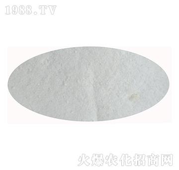 ��⛷�-�͌�����