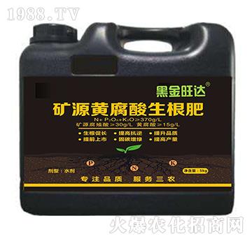 �VԴ�S����������-�ڽ����_(d��)-��(f��)������