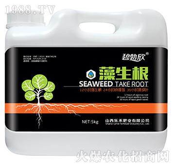 ������-����