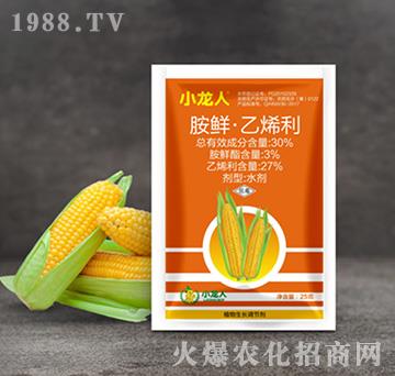 30%���r����ϩ��-���׿���-С����