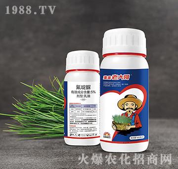 �[���⌣��-�¾��ϴ��-С����