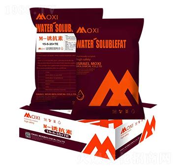 M-�T����15-5-35+TE-Ħϣ-�۹��Է