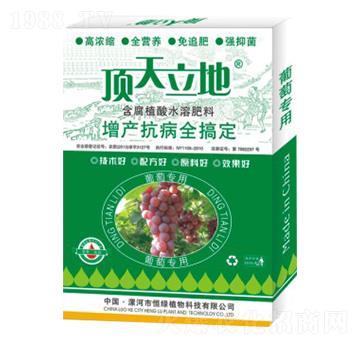 ���ь�(zhu��n)�ú���ֲ��ˮ�ܷ���-�������-��Gֲ��