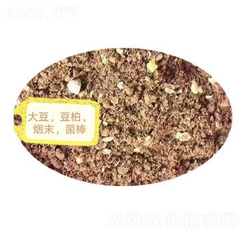 �󶹡���������ĩ��������-�Z�M�}(c��ng)