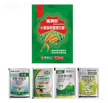 小麥急救管理方案-施滿收-嘉誠(chéng)農(nóng)業(yè)