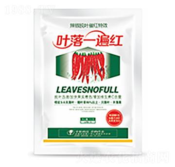 葉落一遍紅-中?？萍? width=