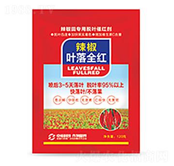 辣椒葉落全紅-中?？萍? width=