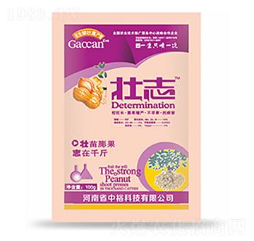 壯志-中?？萍? width=