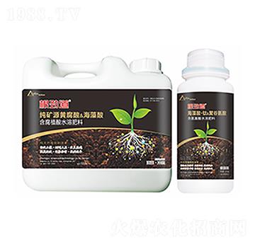 根勁道-中?？萍? width=