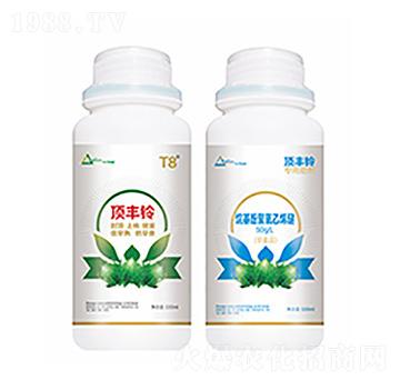 頂豐鈴-中?？萍? width=