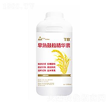 早熟鼓粒精華素-中?？萍? width=