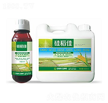 硅稻佳-中裕科技