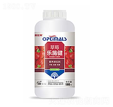草莓樂施健-中?？萍? width=