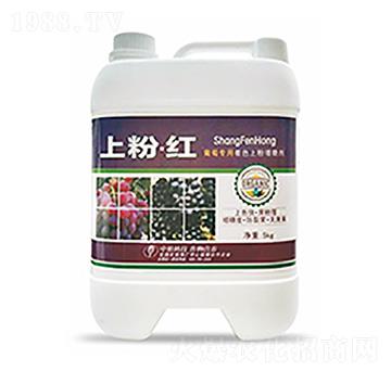 上粉·紅-中?？萍? width=