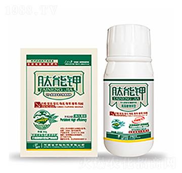 肽能鉀-中?？萍? width=