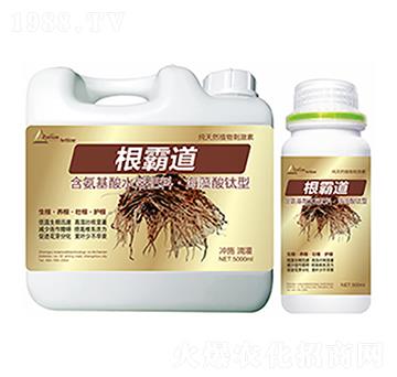 根霸道-中?？萍? width=