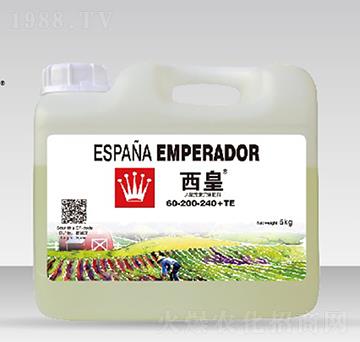 ����Ԫ�����w��600-200-240-����-����˹�D