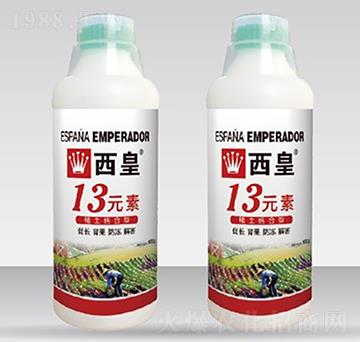 13Ԫ��-����-����˹�D