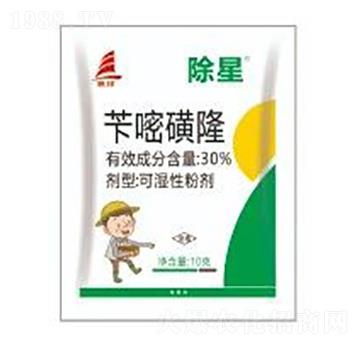 30%�S�׻�¡-����-ϲ�S��