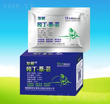 �Ŷ��������|-�n��ʘI(y��)