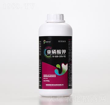 �������-Ӣ���~��(r��n)