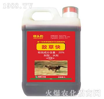 20%���ݿ�-�I(l��ng)�^��-���