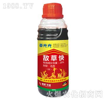 20%���ݿ�-�ݹ��-���