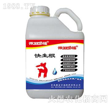 ������-΢���ร