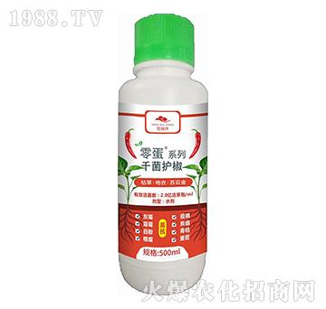 �ݲݡ����¡��K�ƽ�-ǧ���o(h��)��-������-�f�ڿ�