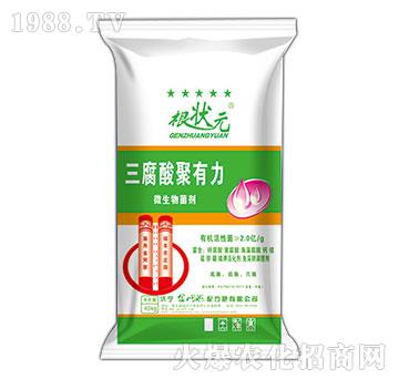 三腐酸聚有力微生物菌劑-根狀元-金網(wǎng)聯(lián)