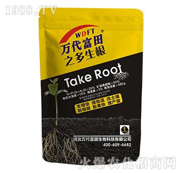 �����-�f������