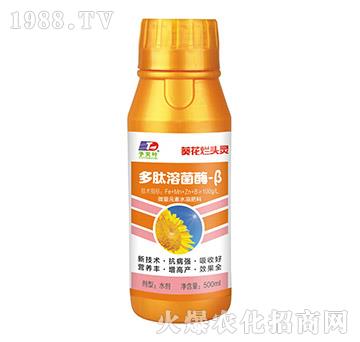 �����ܾ�ø-��-�������^�`-���~����