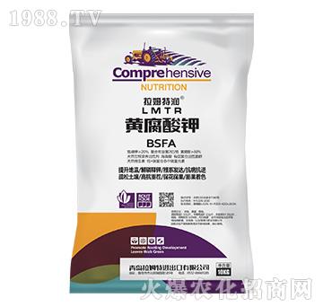 �S�����-��ķ�؝�