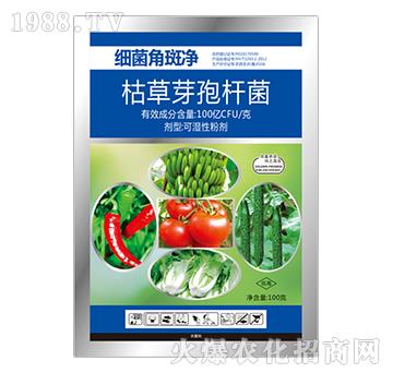 枯草芽孢桿菌-細(xì)菌角斑凈-寶豐農(nóng)藥