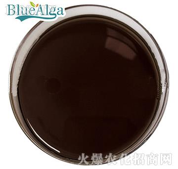 魚蛋白肽（液體）-藍(lán)寶海洋