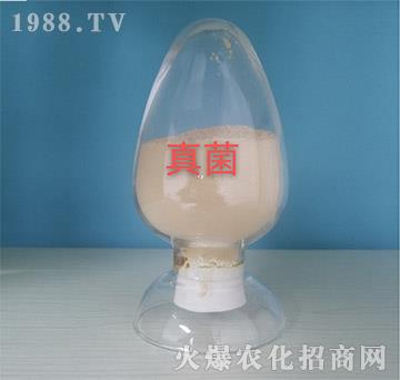 �������ԭ��-���o��(c��)�r(n��ng)�I(y��)