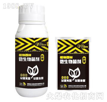 葉斑專用微生物菌劑-植物西林-北斗星