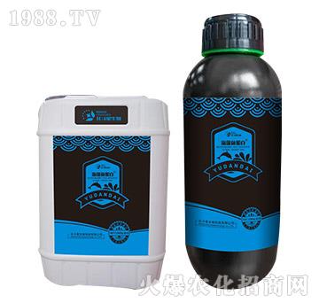 海藻魚蛋白-北斗星