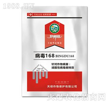 ����168-�ð���-��T����