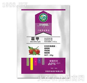 ˪��-�ð���-��T����