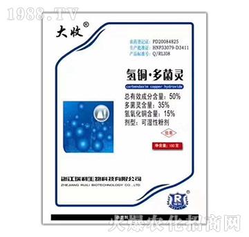 50%���~������`-����-��������