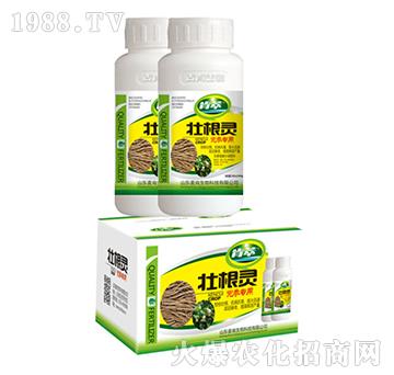 �Ѹ��`�h����(zhu��n)��-��������