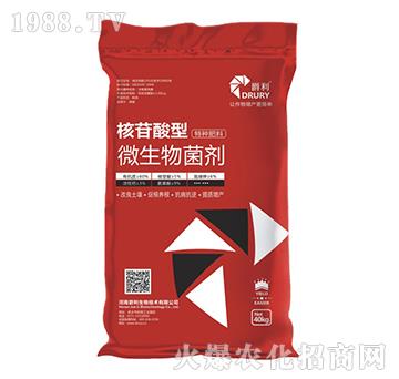 ���������طN����-΢�������-��������