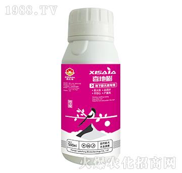 �����(l��i)���(zhu��n)��ˮ�ܷ���-ϲ����-ϲ�ϼ�