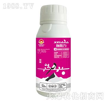 ��������360��ጵ�-ʩ����-ϲ�ϼ�